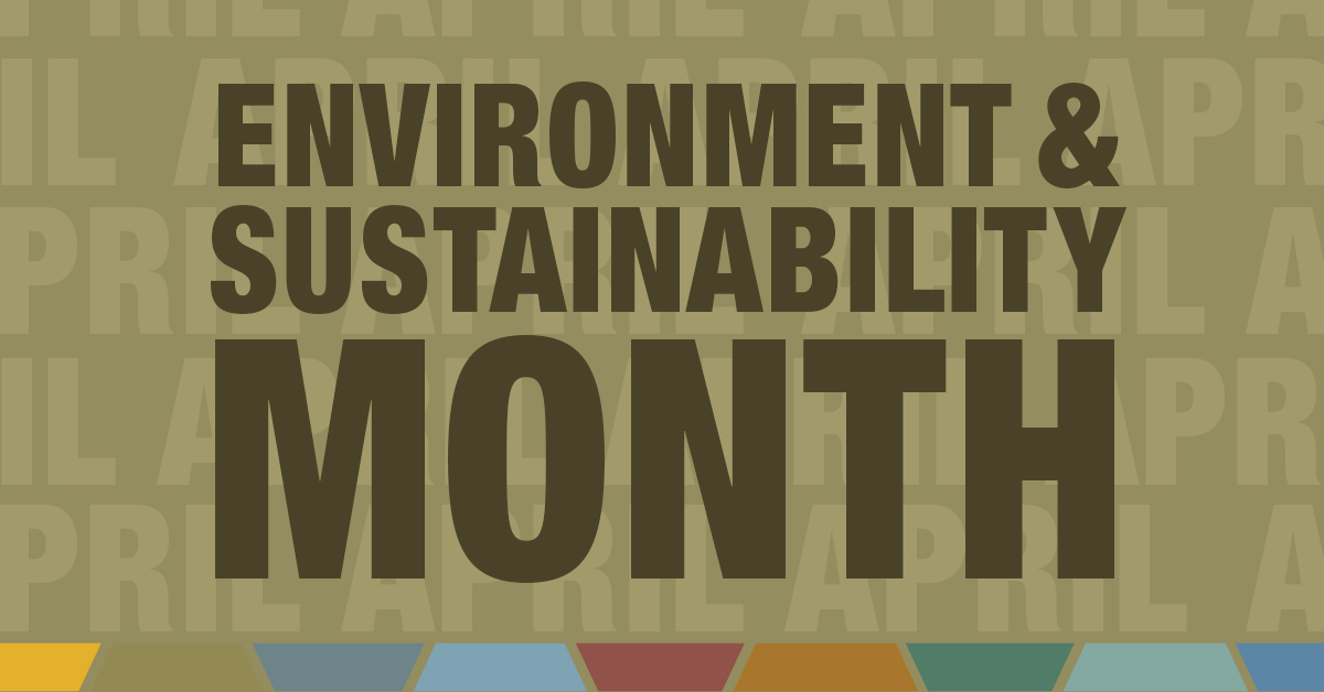 Brown background with words Environment + Sustainability Month