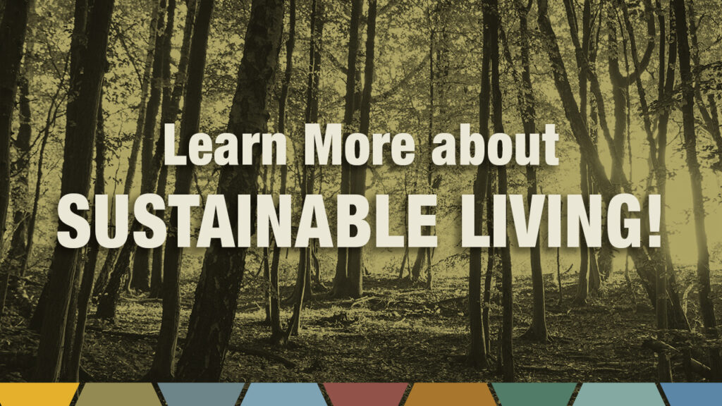 Background of Forest Trees with words Learn More about Sustainable Living